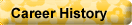 Career History